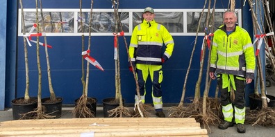 Pflanzaktion Streuobstbau: Einwohner können bis Ende März Obstbäume zum Vorzugspreis bestellen. 