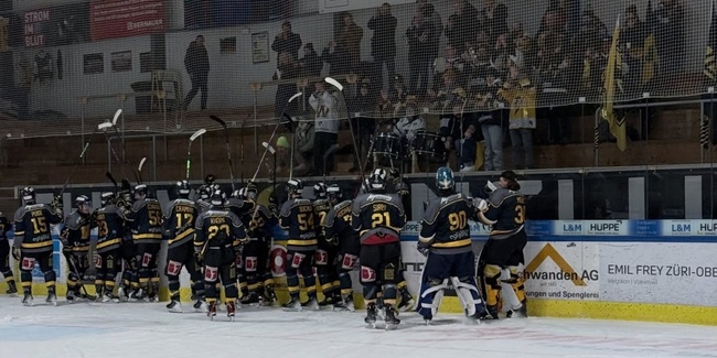 Rund 500 Zuschauer verfolgten am 14. Januar 2026 den Heimsieg des EHC Wetzikon.