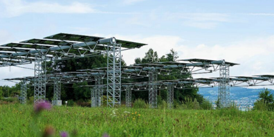 Forschende der ZHAW begleiten eine Machbarkeitsstudie für das Anwenden von Photovoltaik auf landwirtschaftlichen Flächen im Kanton Zürich