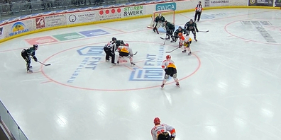 Die Bären kamen zu einem weiteren Heimerfolg. 