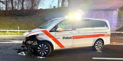 Einsatzkräfte wurden bei der Kollision nicht verletzt.