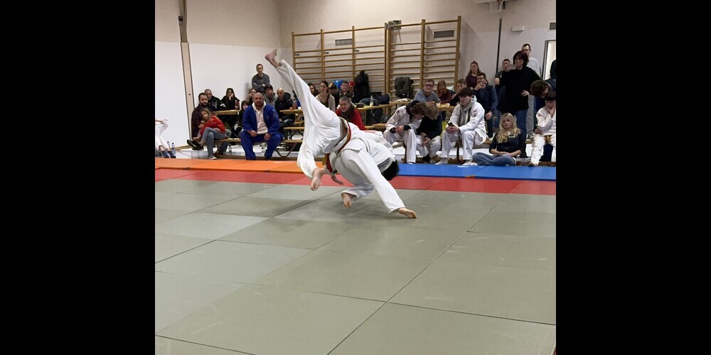 Sehr schöne Wurftechniken wurden gezeigt