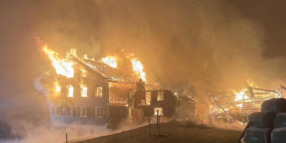 Es wurden keine Menschen oder Tiere verletzt.