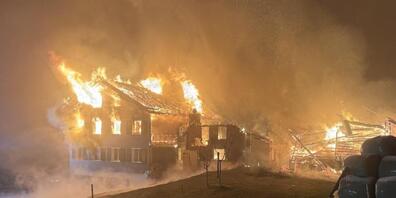 Es wurden keine Menschen oder Tiere verletzt.