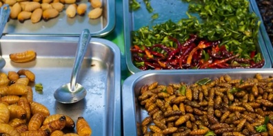 In anderen Kulturen sind Insekten fester Bestandteil des Speiseplans. 