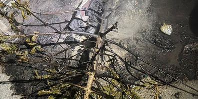 Die Kantonspolizei Aargau warnt vor erhöhter Brandgefahr durch unbeaufsichtigte Kerzen und Lichter. (Symbolbild)