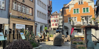 Aktuell beleben die grünen Naturstadt-Oasen die Altstadt