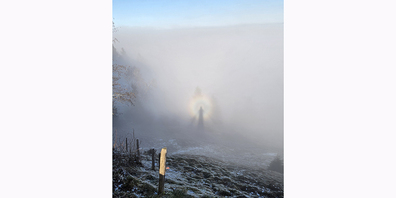 Ein Leser fing am Samstag ein wunderschönes Bockengespenst mit Glorie ein. 