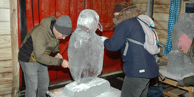 Ein Pinguin entsteht.