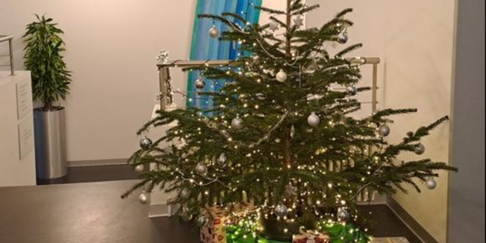 Ausgediente Weihnachtsbäume lassen sich vielfältig weiterverwenden.