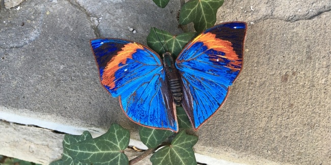 Die von Martina Frank aus Seide gestickten Schmetterlinge sind im Papiliorama zu sehen.