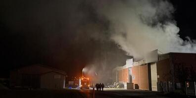 Die Feuerwehr brachte das Feuer in einer Recyclinganlage gemäss der Polizei schnell unter Kontrolle.