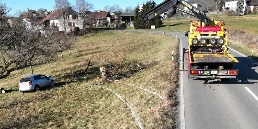 Die Aufnahme der Schaffhauser Polizei zeigt, wie das Auto in Richtung Baum fuhr.