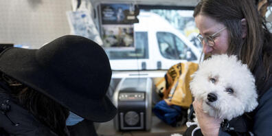 «Wer sich ein Tier zulegt, darf auch mal auf ein Bier, ein Päckchen Zigaretten oder auf den nächsten Knall verzichten»: Gassentierarzt-Projektleiterin Mirjam Spring mit einem vierbeinigen Patienten.