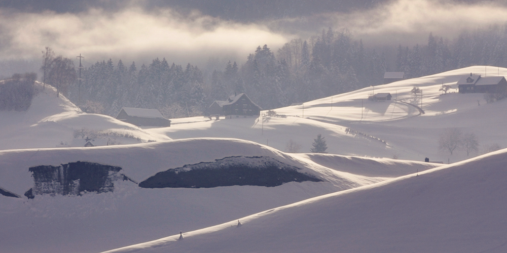 Fasnacht-in-Ebnat-Kappel-und-mehr