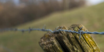 Stacheldrahtzäune sind eine Gefahr für Wildtiere. Im Kanton St.Gallen sind sie mittlerweile weitgehend verboten. (Symbolbild)