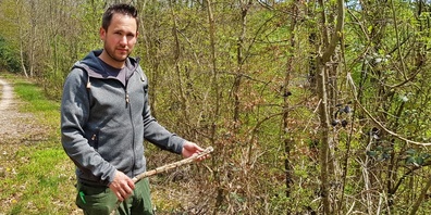 Revierförster Urs Fuchs sorgt sich um seinen Wald. 