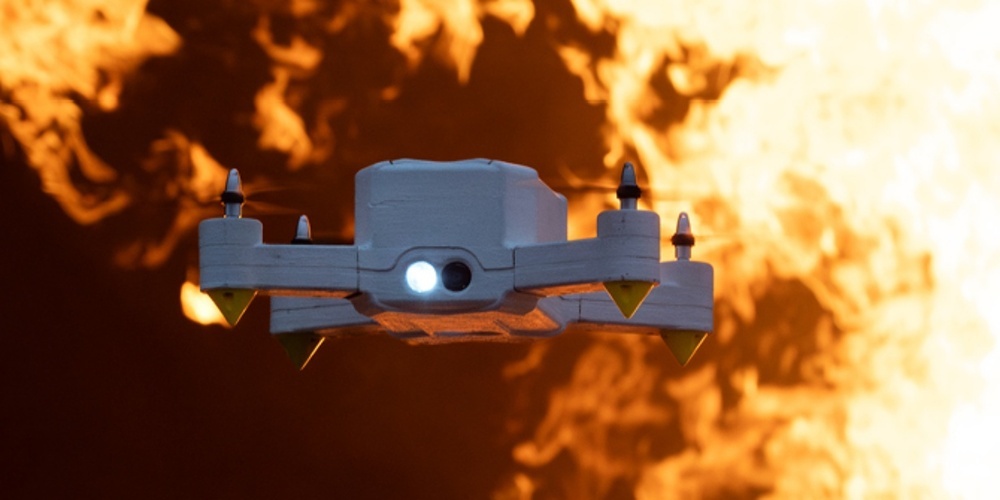 Sie-geht-dahin-wo-s-heiss-ist