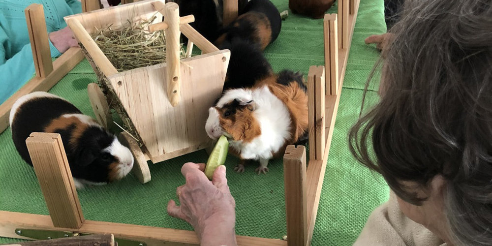 Die Tierbesuchemachen viel Freude.