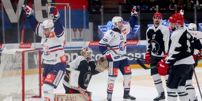 Jubelnde Zürcher:  Dieser Sieg ist für den ZSC Gold wert.