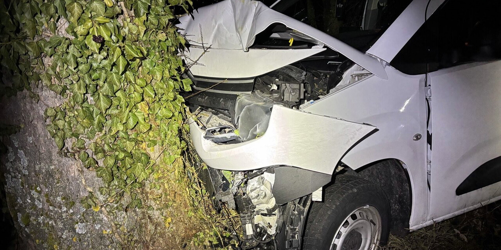 Die Lenkerin kam in einer Linkskurve mit dem Fahrzeug von der Strasse ab und dieses kollidierte in der Folge mit einem Baum. 