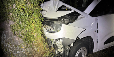 Die Lenkerin kam in einer Linkskurve mit dem Fahrzeug von der Strasse ab und dieses kollidierte in der Folge mit einem Baum. 