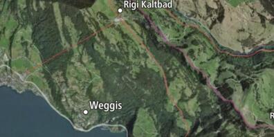 Der Wanderer verunfallte an der Südseite der Rigi.