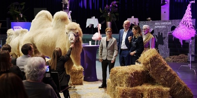 Neben interessanten Gesprächen zum Thema Werte und Wandel am KMUdate im Zauberhut bot das Intermezzo mit der Kameldame auch Zeit zum Schmunzeln. 