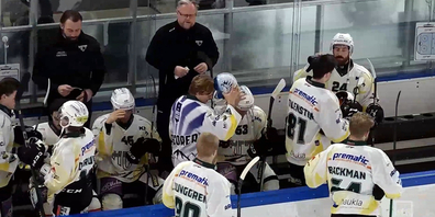 Die Leuen befinden sich derzeit in einer Phase, in der der Wurm drin ist.