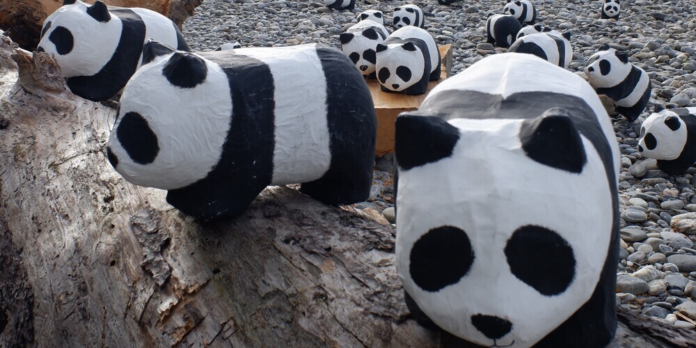 50-Jahre-WWF-St-Gallen-50-Jahre-Engagement-f-r-Mensch-und-Natur