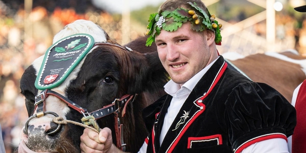 Schwingerk-nig-Joel-Wicki-tritt-zur-ck