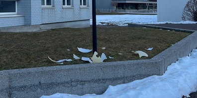 Mehr als Bagatellfälle: In diversen Schulhäusern in Glarus-Nord kam es unlängst zu Sachbeschädigungen.