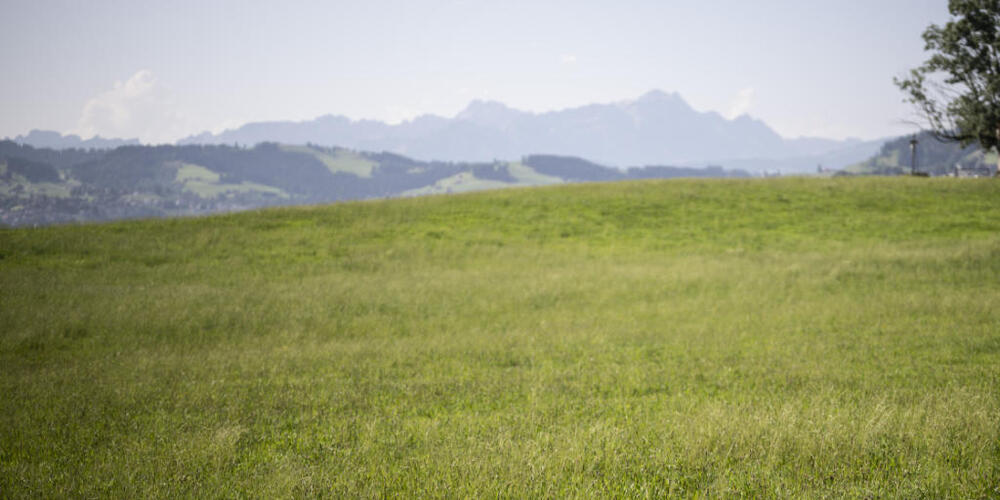 Nach Ansicht der Regierung sollen nur Landwirtschaftsböden mit klarem Verdacht auf eine PFAS-Belastung untersucht werden. (Archivbild)