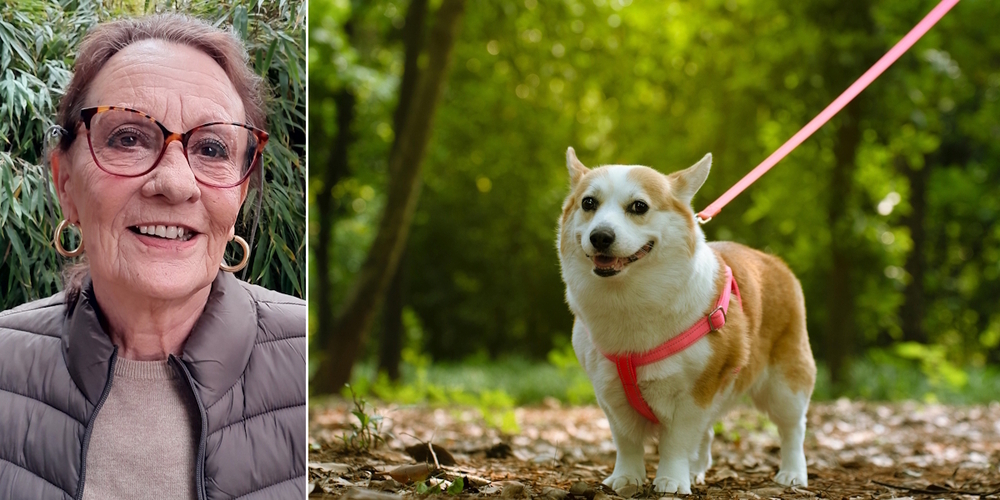 Rosita Ruzsa findet, das neue Hunde-Reglement habe viele Fehler.